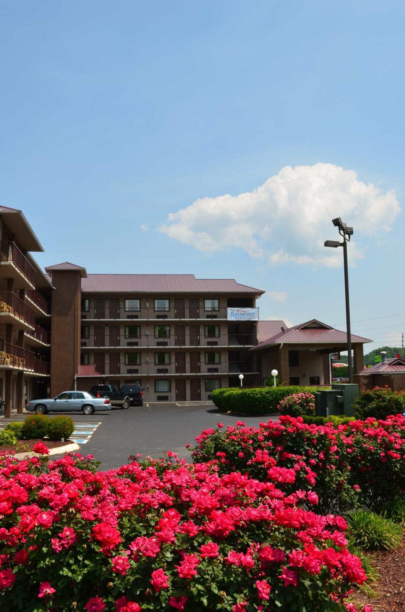 Baymont By Wyndham Pigeon Forge Near Island Drive Hotel Екстериор снимка